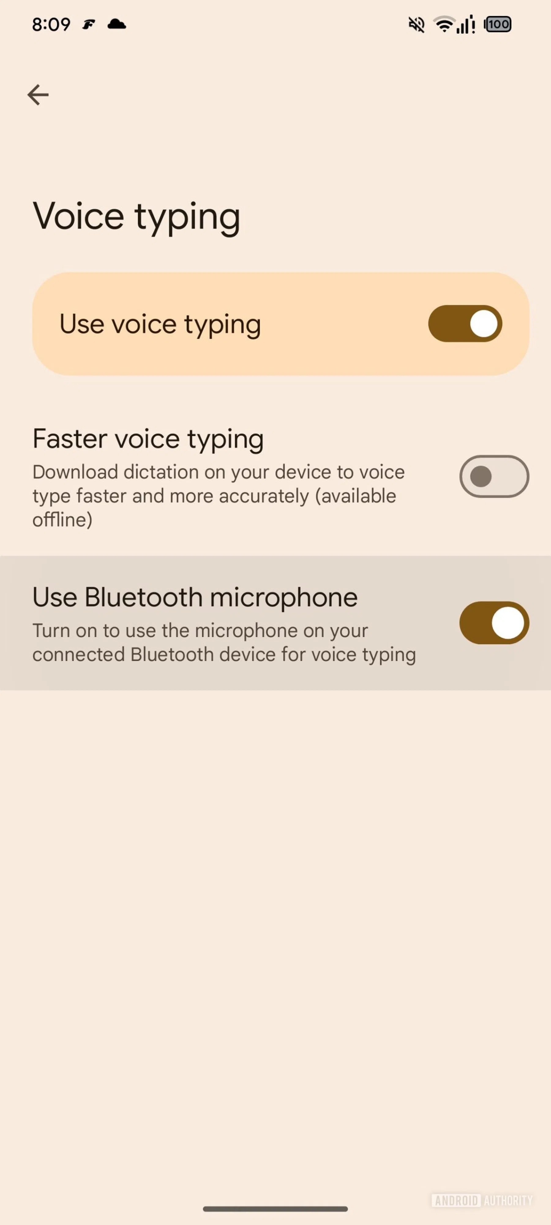 Screenshot van de nieuwe Google functie voor spraakgestuurd typen